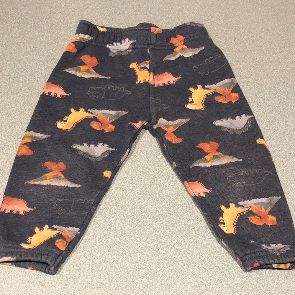 Dinosaur Print Baby Pants
